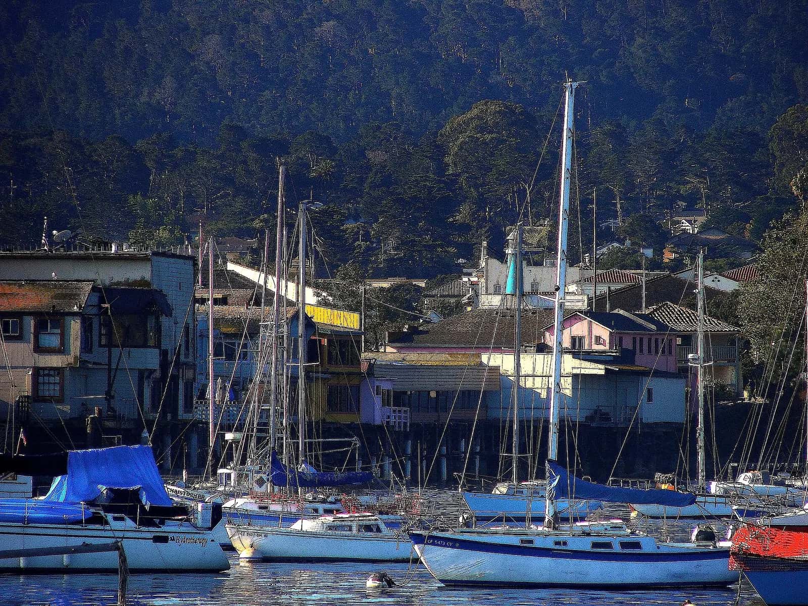 Monterey