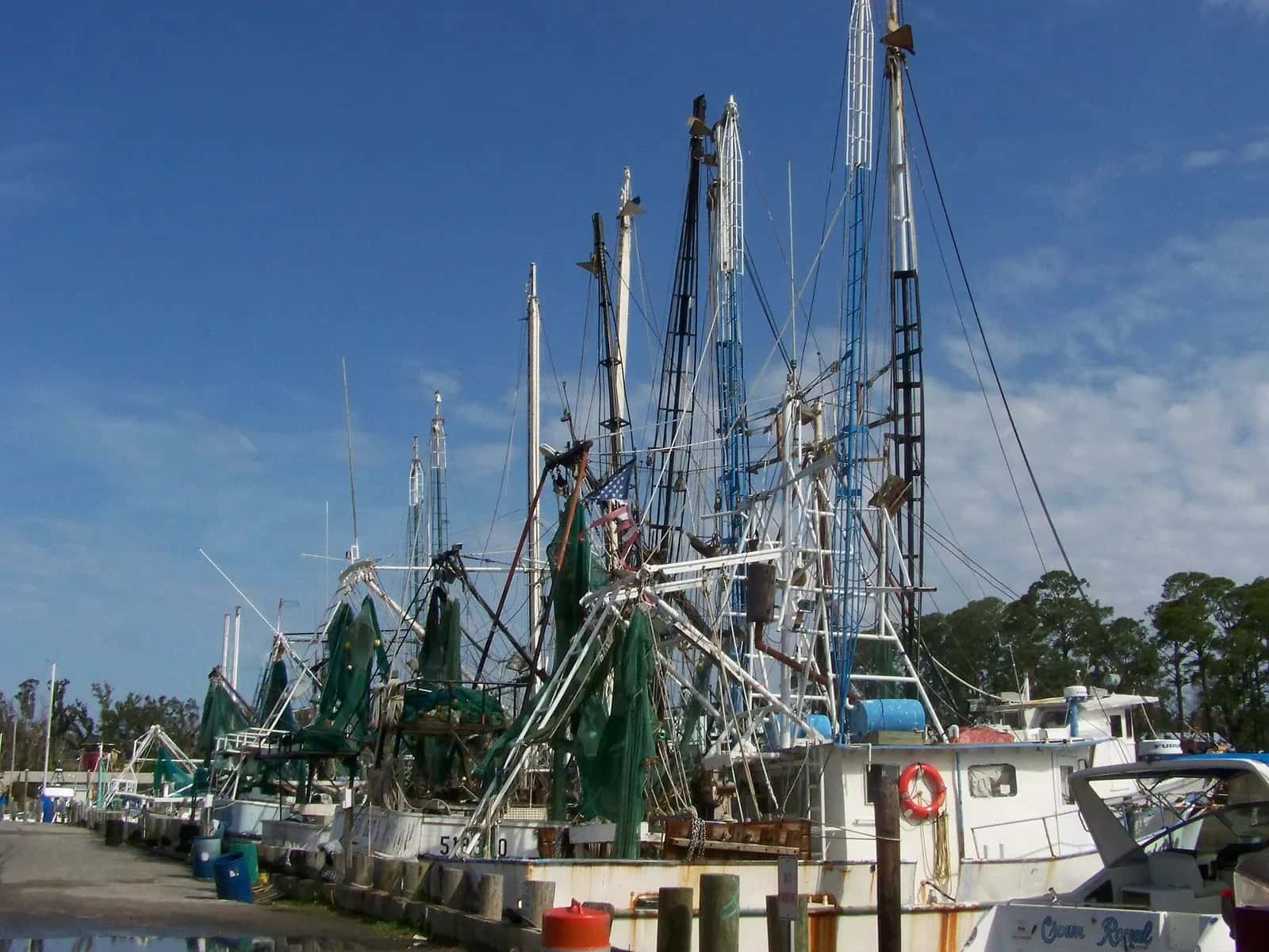 Ocean Springs