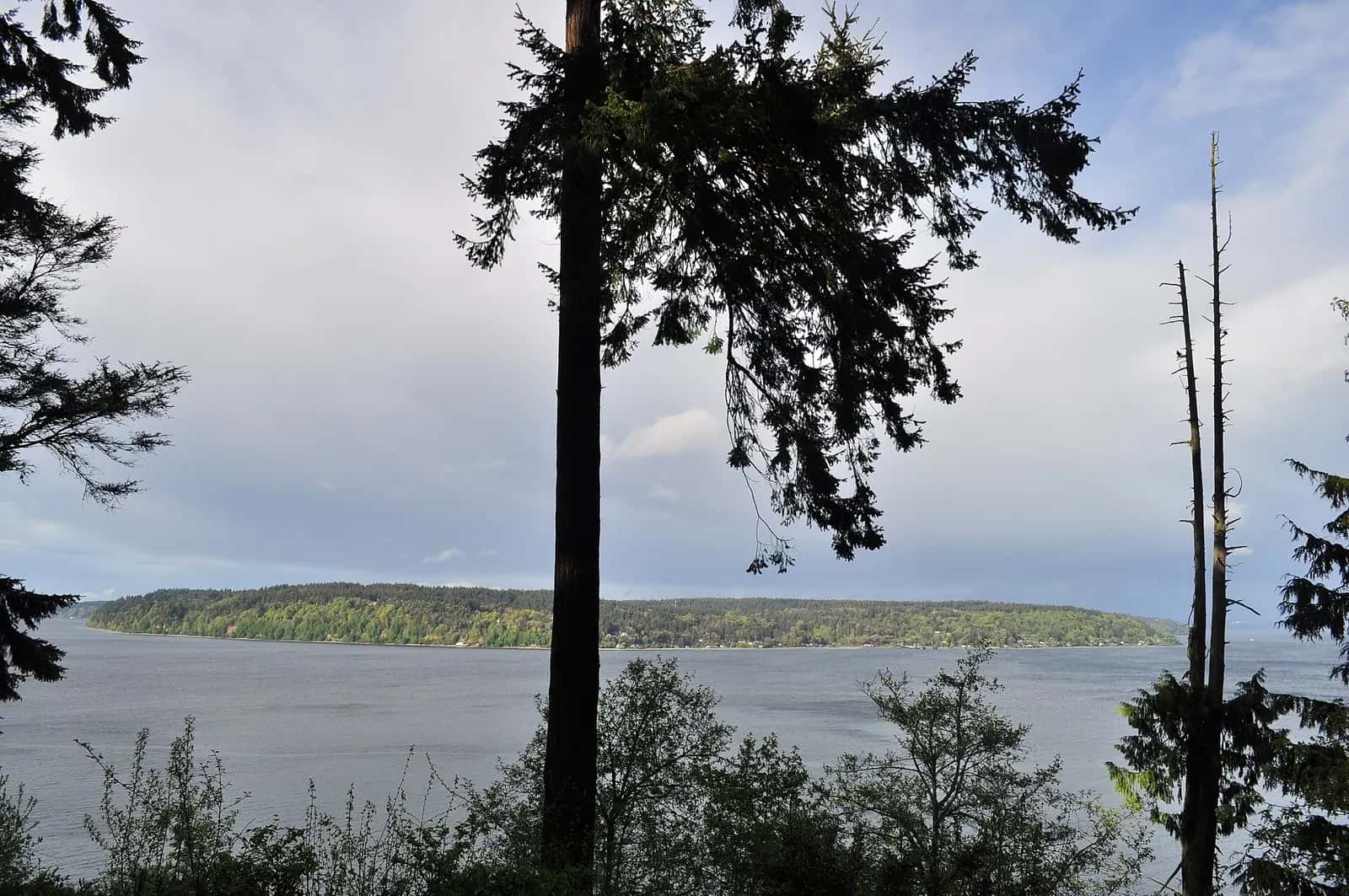 Vashon