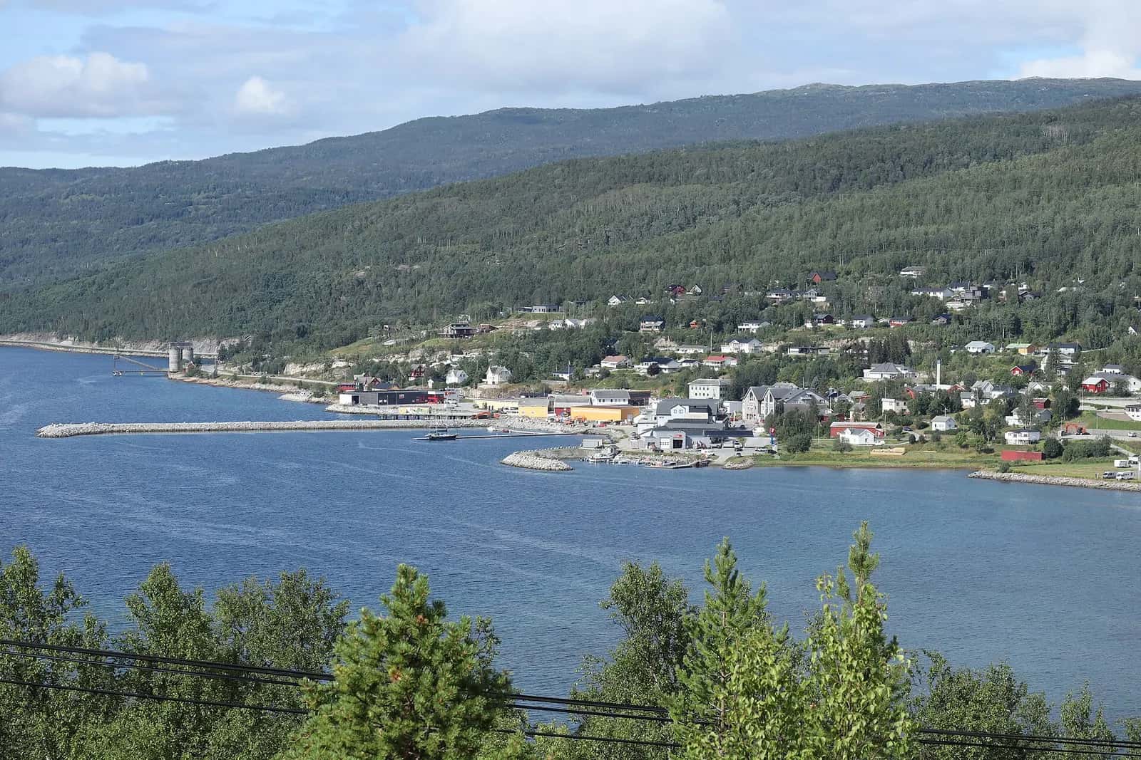 Sjøvegan