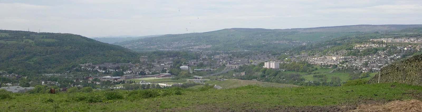Bingley