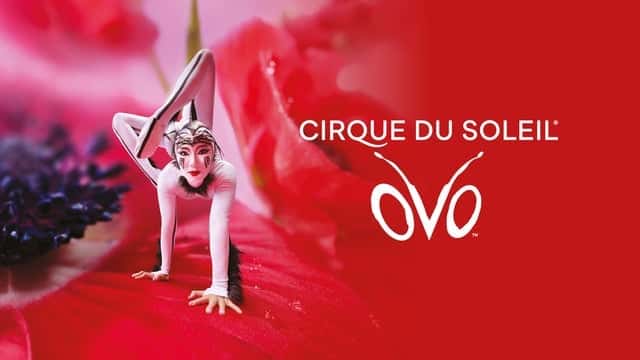 OVO Cirque du Soleil