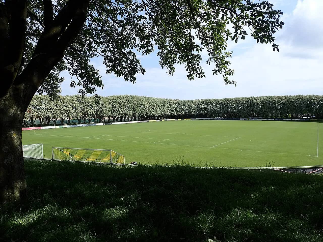 Riisvangen Stadion