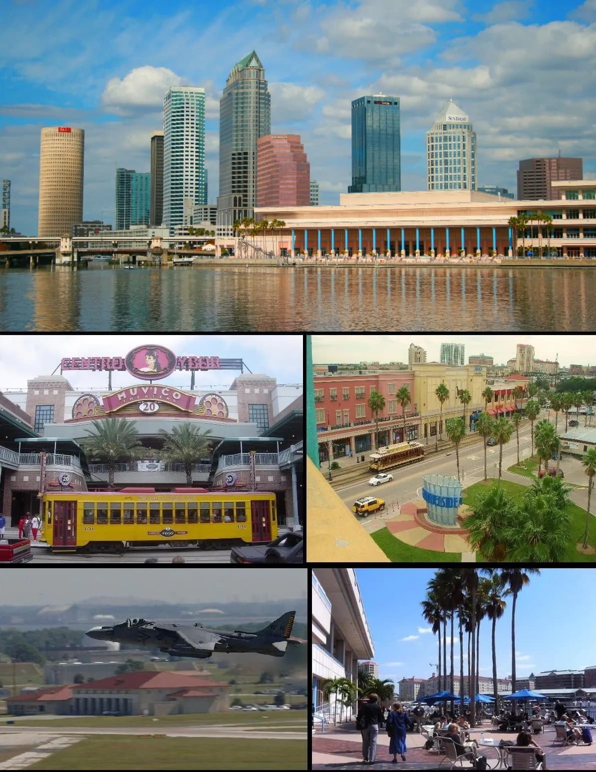 Anthony MRocka - Tampa