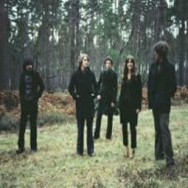 The Zutons