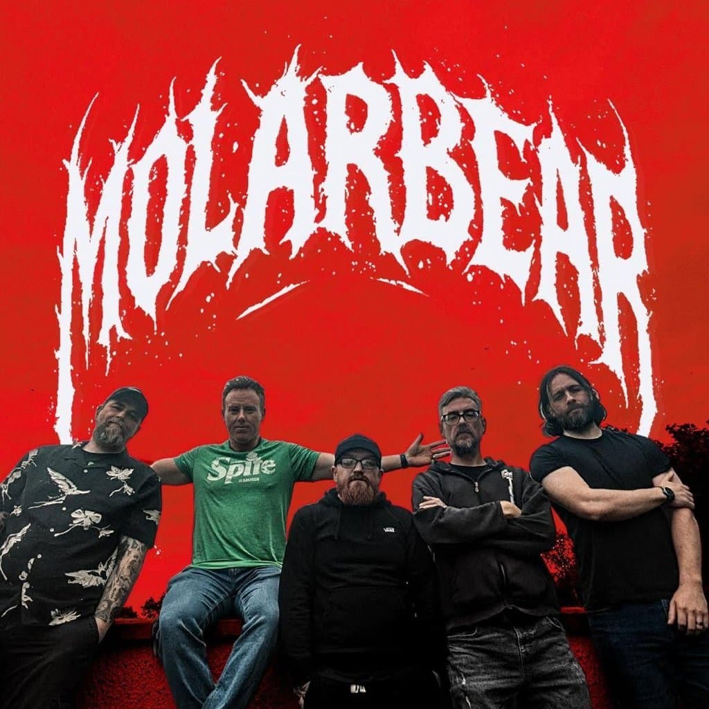 Molarbear
