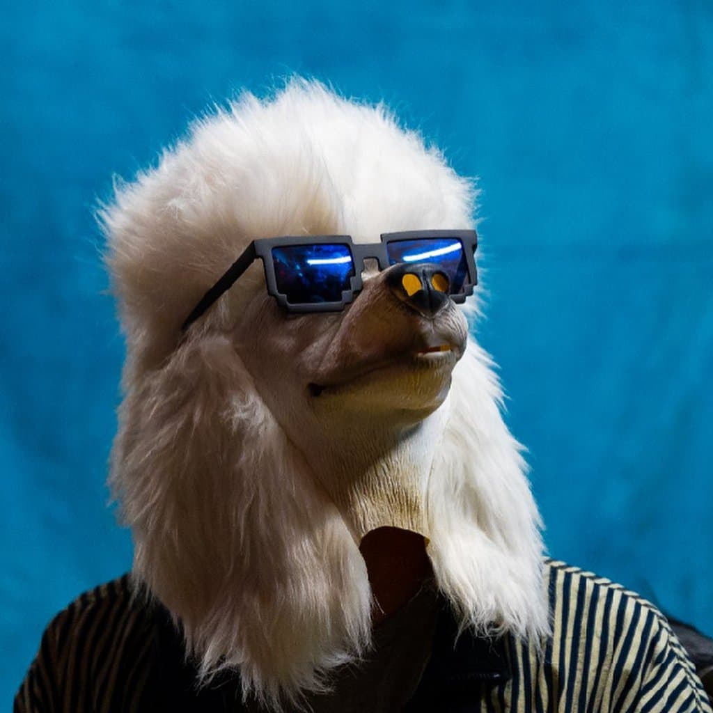 Dogshow