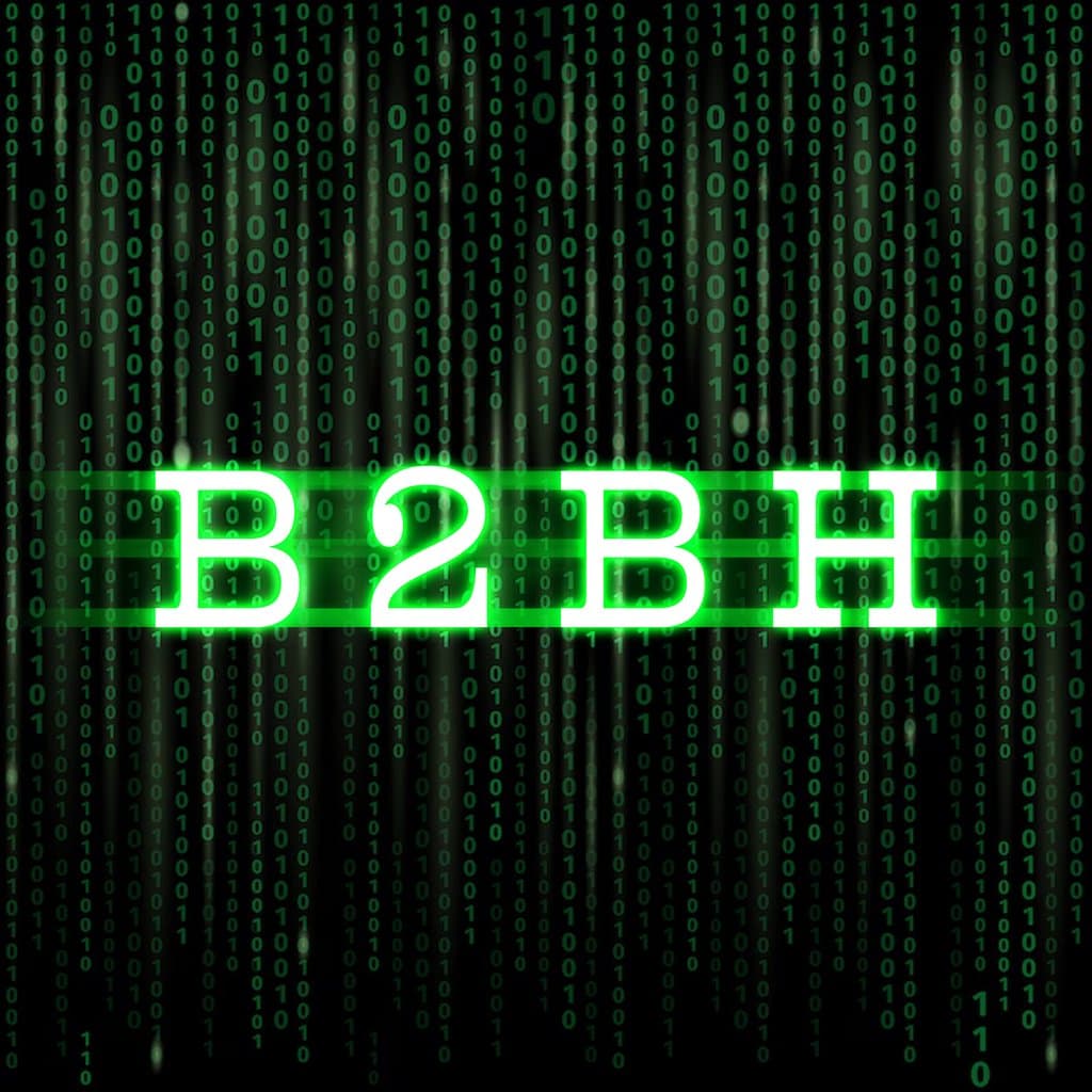 B2BHitterz