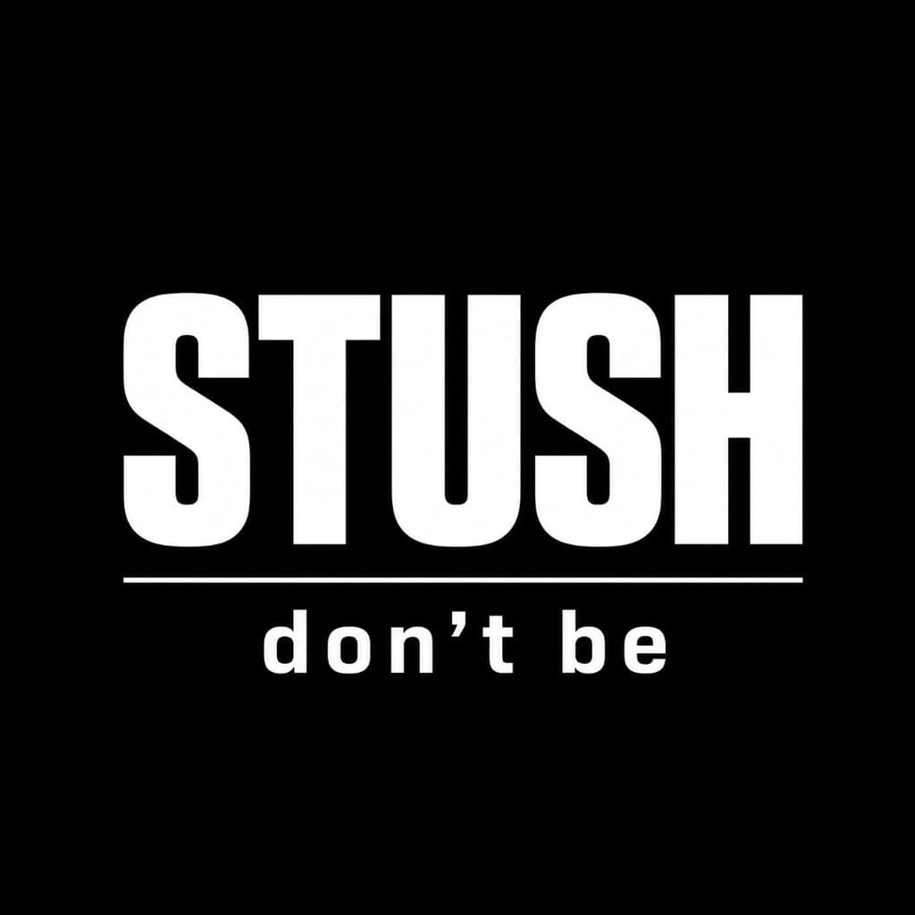 STUSH  at CUPRA official launch party