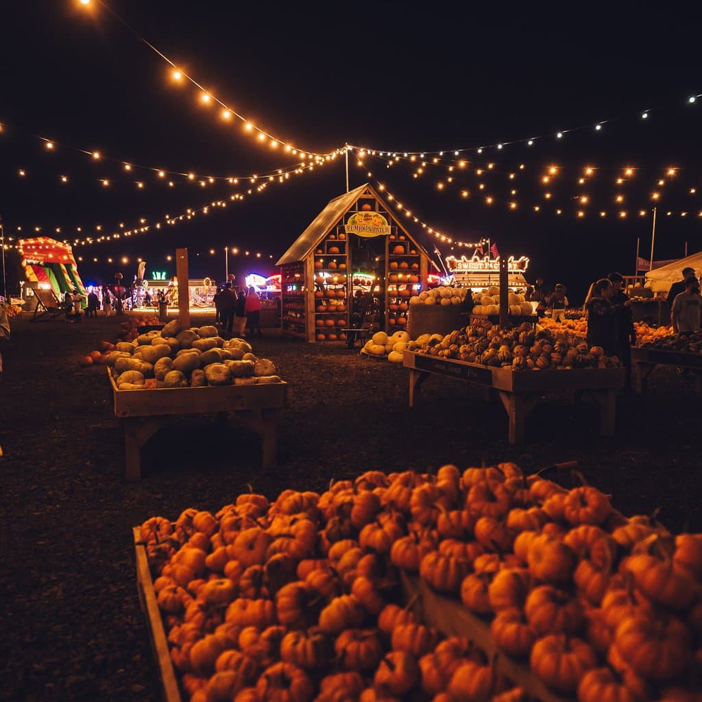 Pumpkin Patch Nights