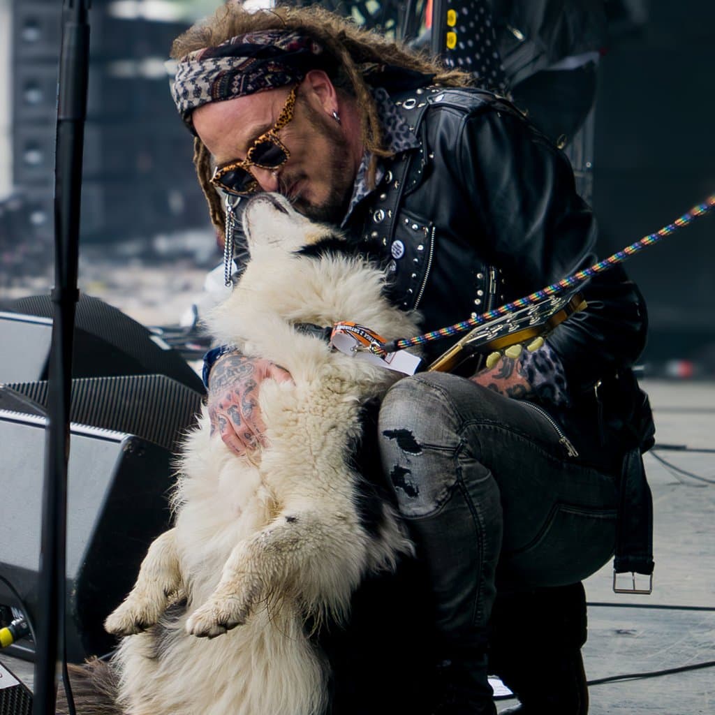 The Wildhearts