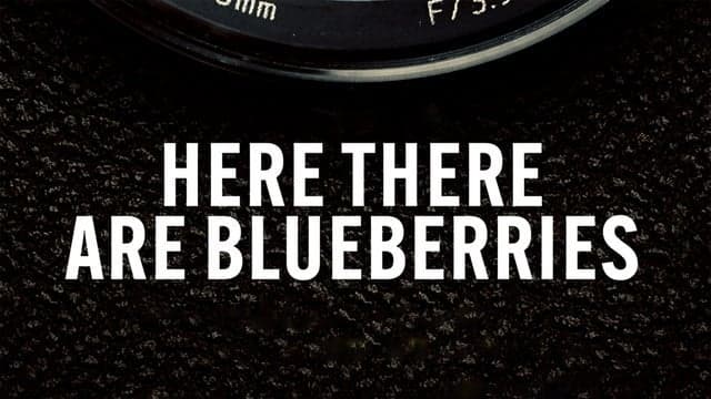 Here There Are Blueberries