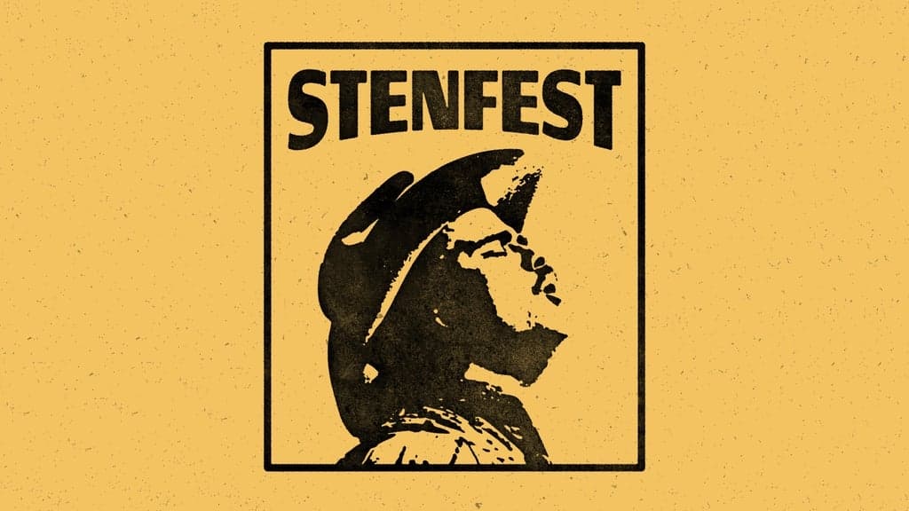 Stenfest festival pass