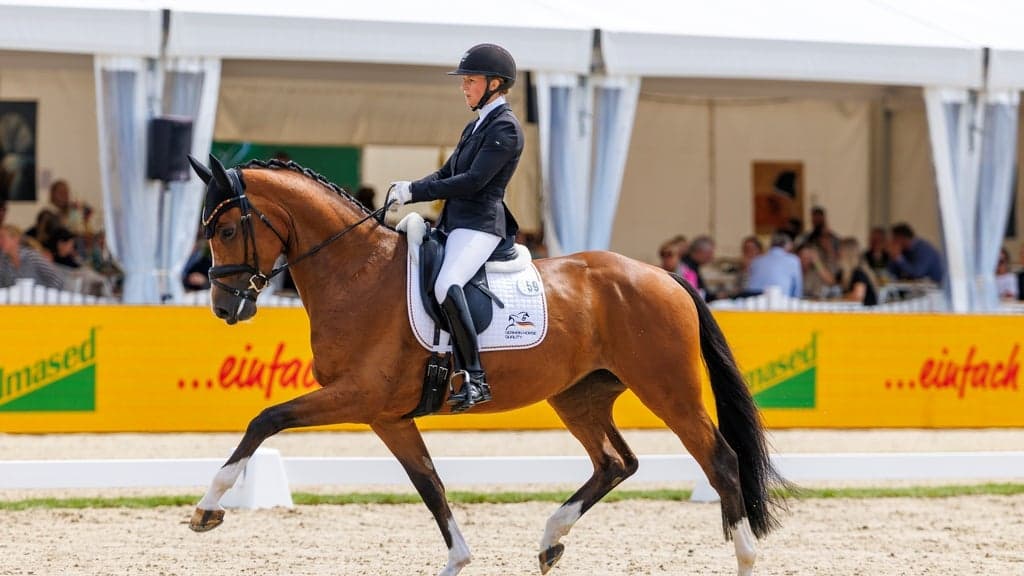 Dressage World Breeding Championship for Young Horses 2027, THU 05.08.