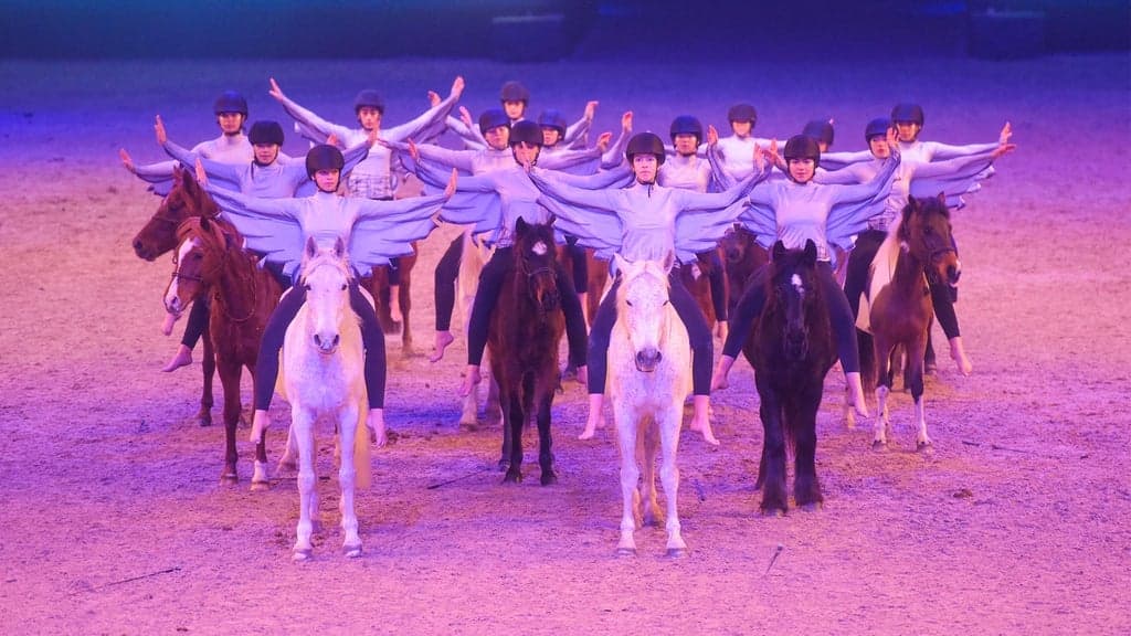 MiMaMo - Die Pferde-Kinder-Pony-Show - SONNTAG