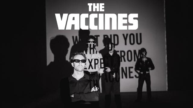 The Vaccines