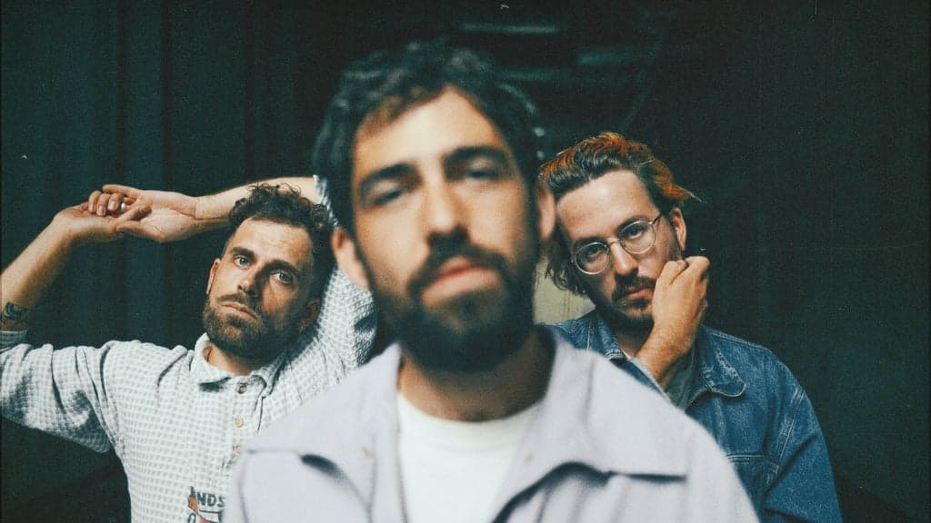 Mad Foxes (FR)