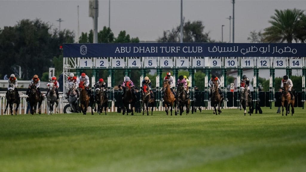 Abu Dhabi Gold Cup