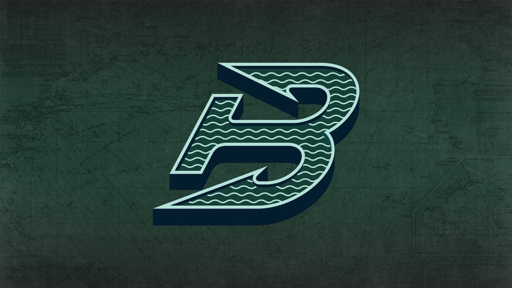 Boston Fleet vs. PWHL Las Vegas