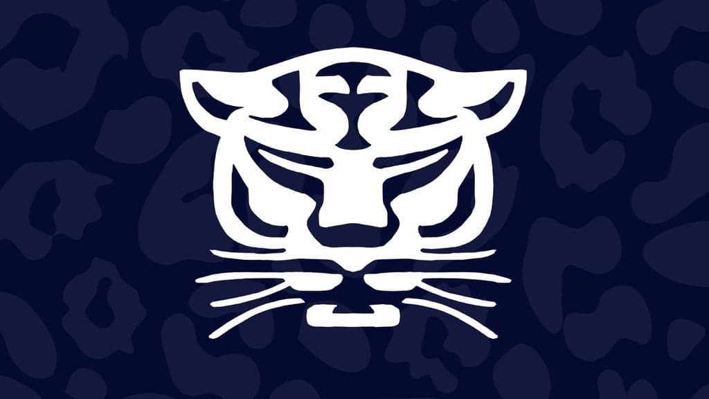 Birmingham Panthers VS Loughborough Lightning
