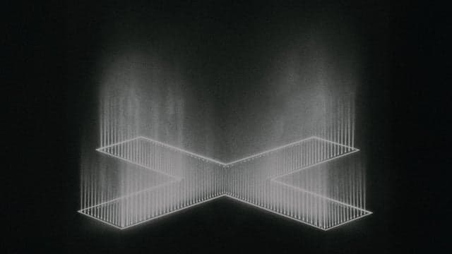 The xx