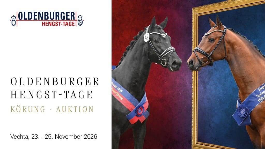 Katalog 2025 -  Oldenburger Hengsttage