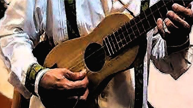 Jarocho SON