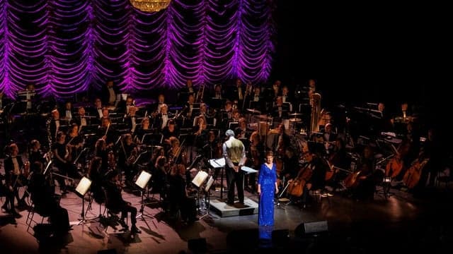 Movies and Musicals Live with RTÉ Concert Orchestra