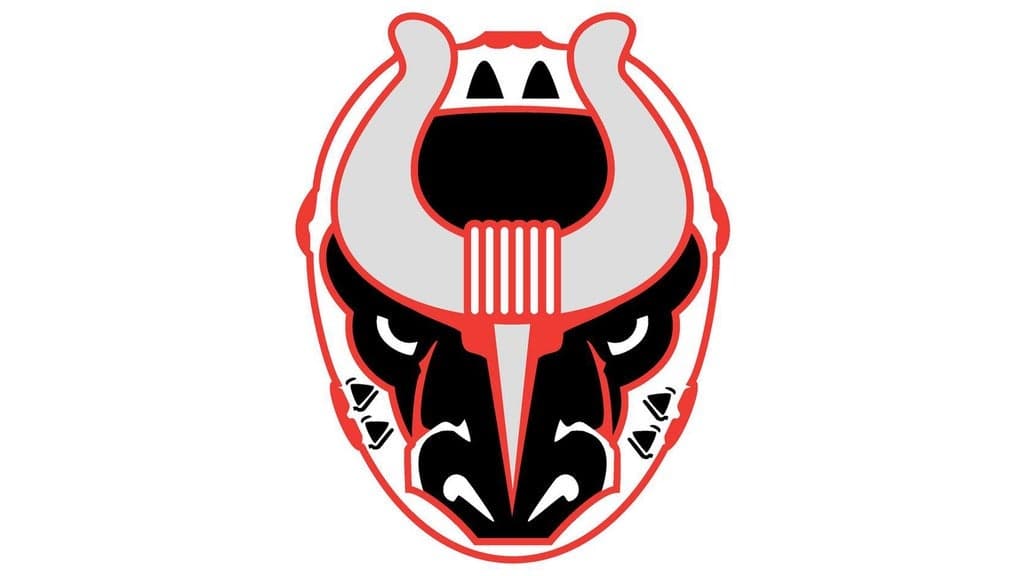 Birmingham Bulls v. Pee Dee Icecats