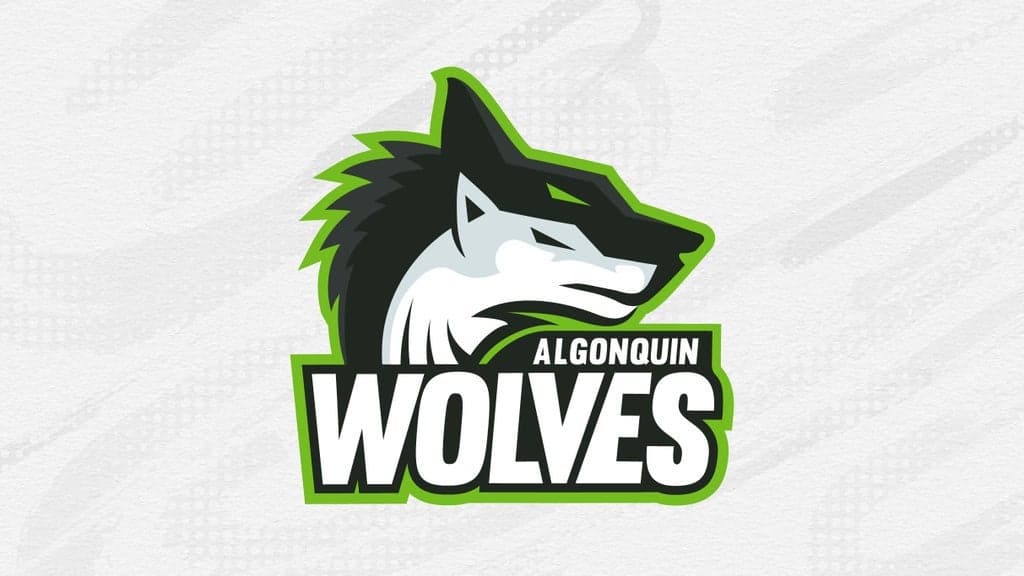 Varsity Basketball: Algonquin Wolves vs. Fleming Phoenix