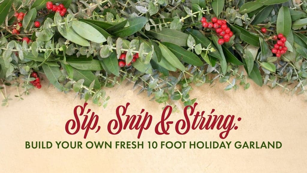 Sip, Snip & String: Build Your Own Fresh 10 Foot Holiday Garland!