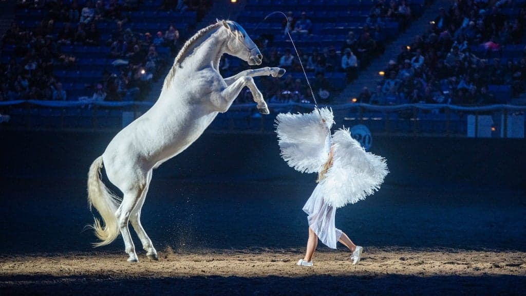 An Evening of Dancing Horses presented by 9News - Thur. Jan. 21 7pm