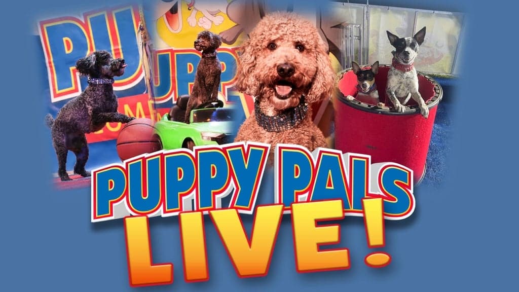 PUPPY PALS LIVE!