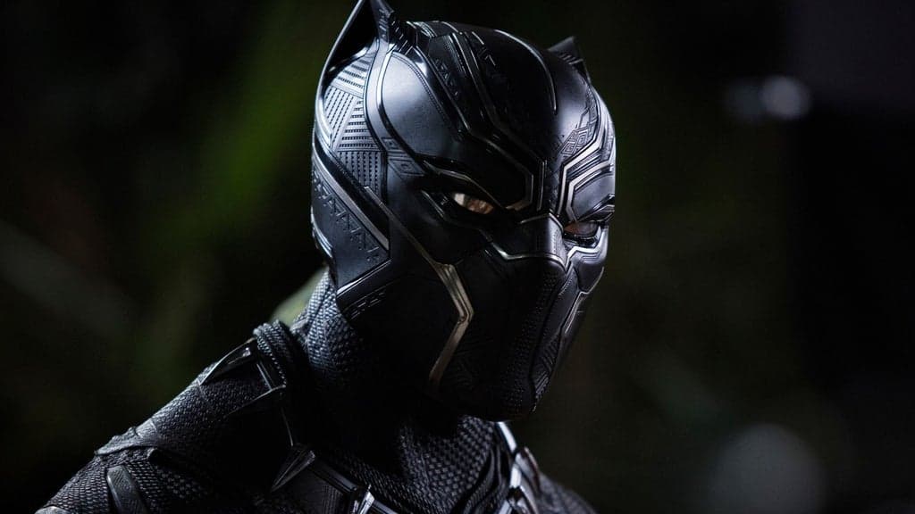 Black Panther In Concert: The North American Tour