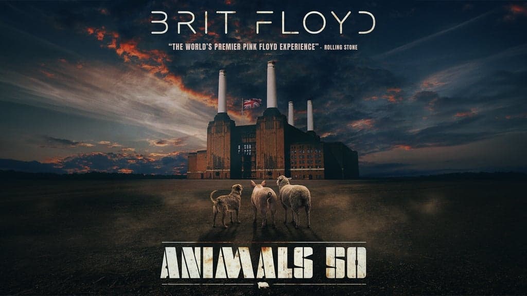 BRIT FLOYD – ANIMALS 50 - World Tour 2027