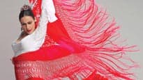 Flamenco Festival