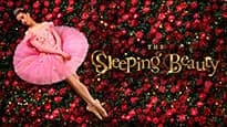 World Ballet Company: The Sleeping Beauty with a Live Orchestra