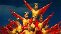 Shanghai Acrobatic's