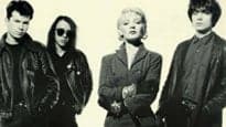 The Primitives