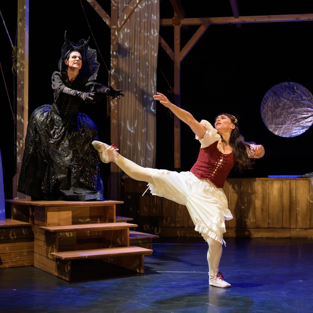 Luca Silvestrini's The Magic Flute