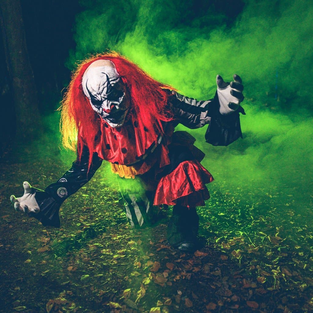 Zip World presents Ffear Fforest