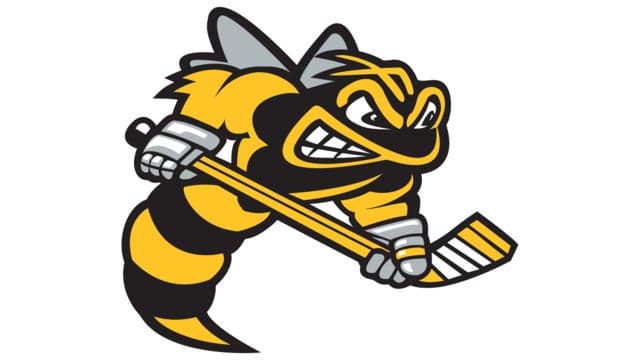 Sarnia Sting