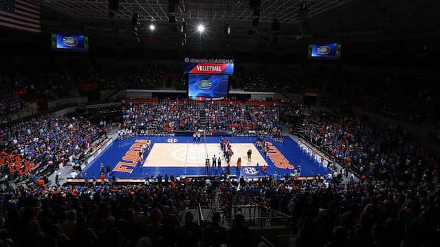 Florida Gators Volleyball