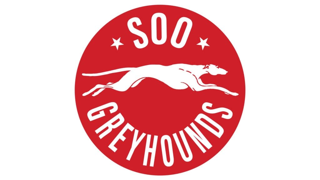 Sault Ste. Marie Greyhounds vs. Sarnia Sting