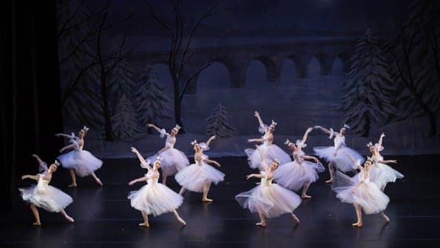 Twin Cities Ballet of Minnesota
