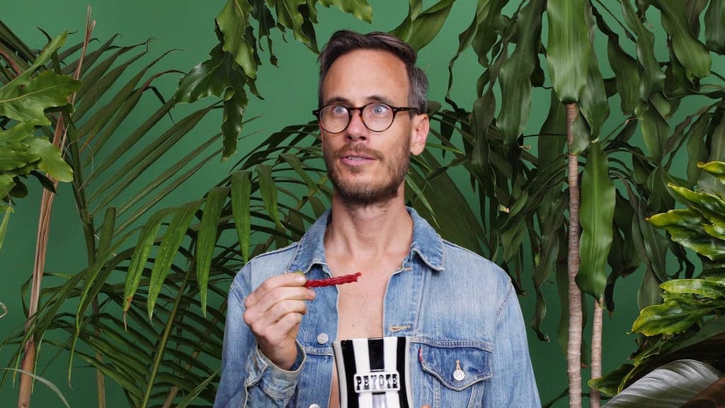 20 Years Young | The Early November and Hellogoodbye 2027 Australia Tour | Sydney
