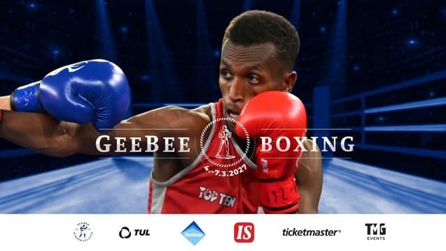 GeeBee