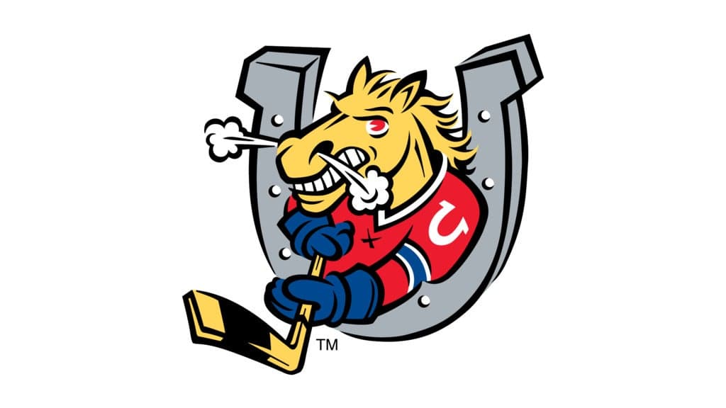 Barrie Colts vs. Owen Sound Attack