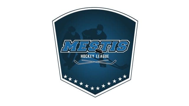 Mestis