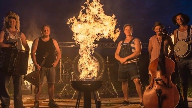 STEVE'N'SEAGULLS